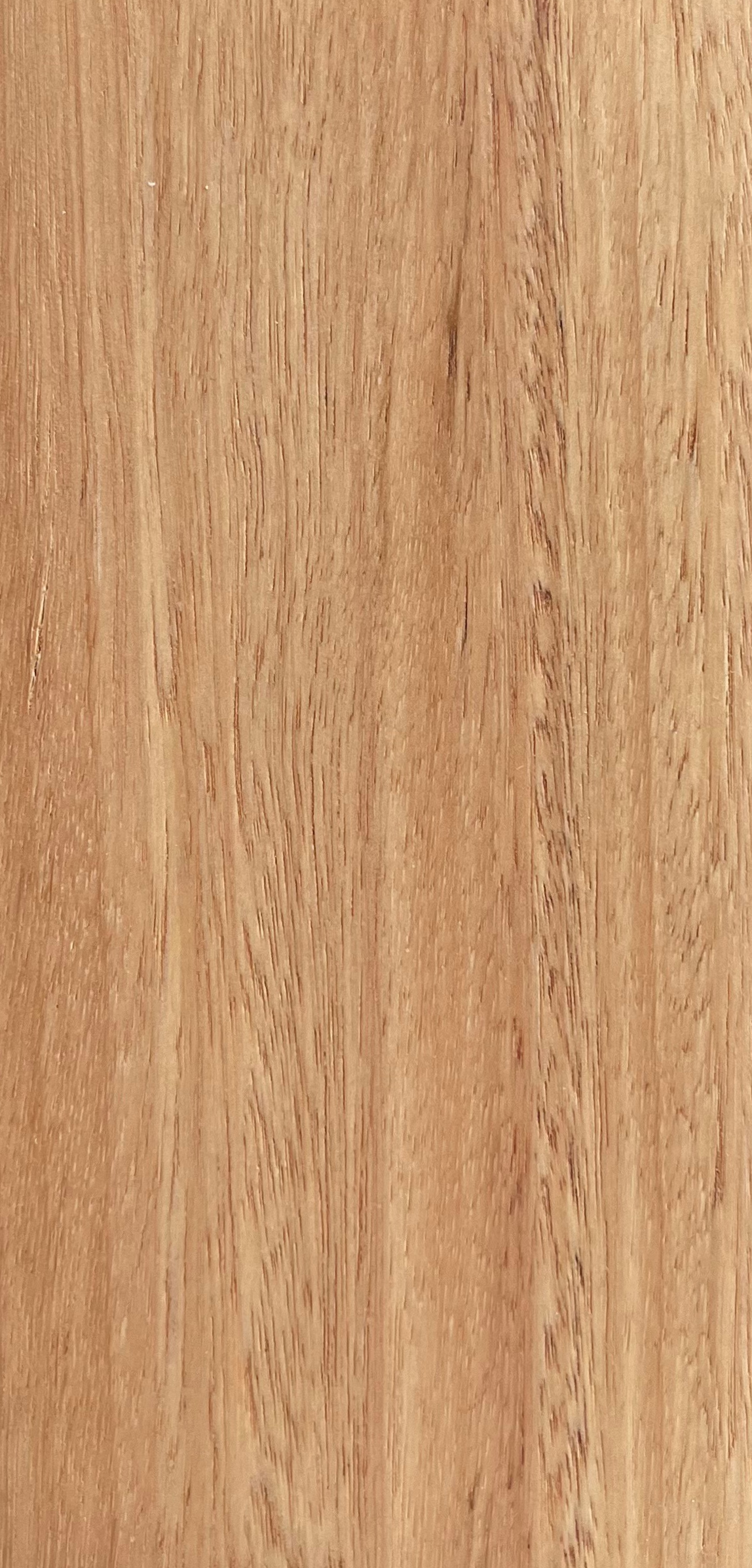 Blackbutt (Sample)